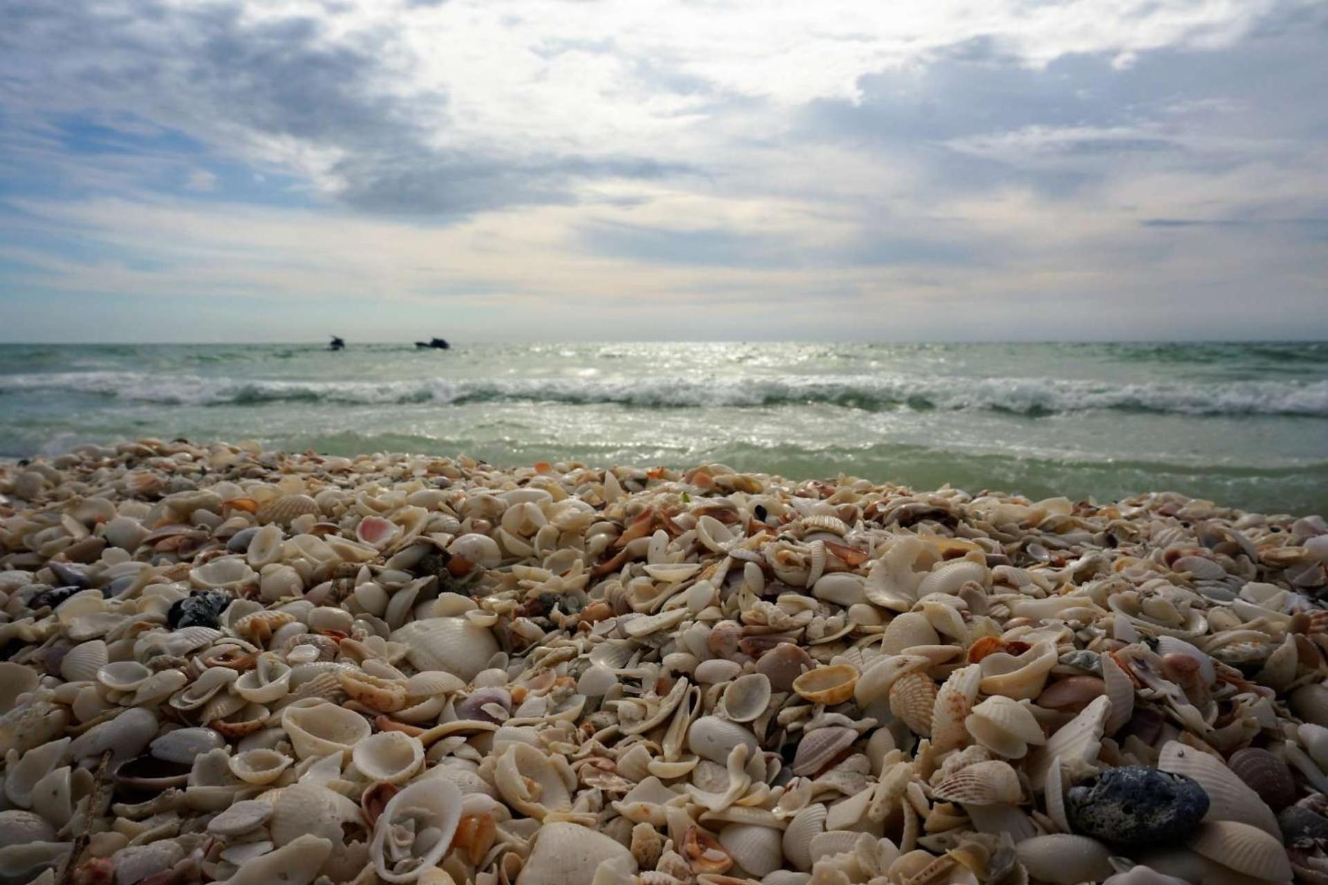 Somerset #209 Marco Island Buitenkant foto